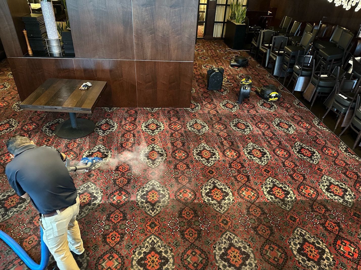 Commercial carpet deep cleaning in a restaurant dining area using professional extraction equipment