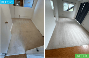 Split-screen showing a heavily stained carpet before and after professional deep extraction cleaning in Honolulu.