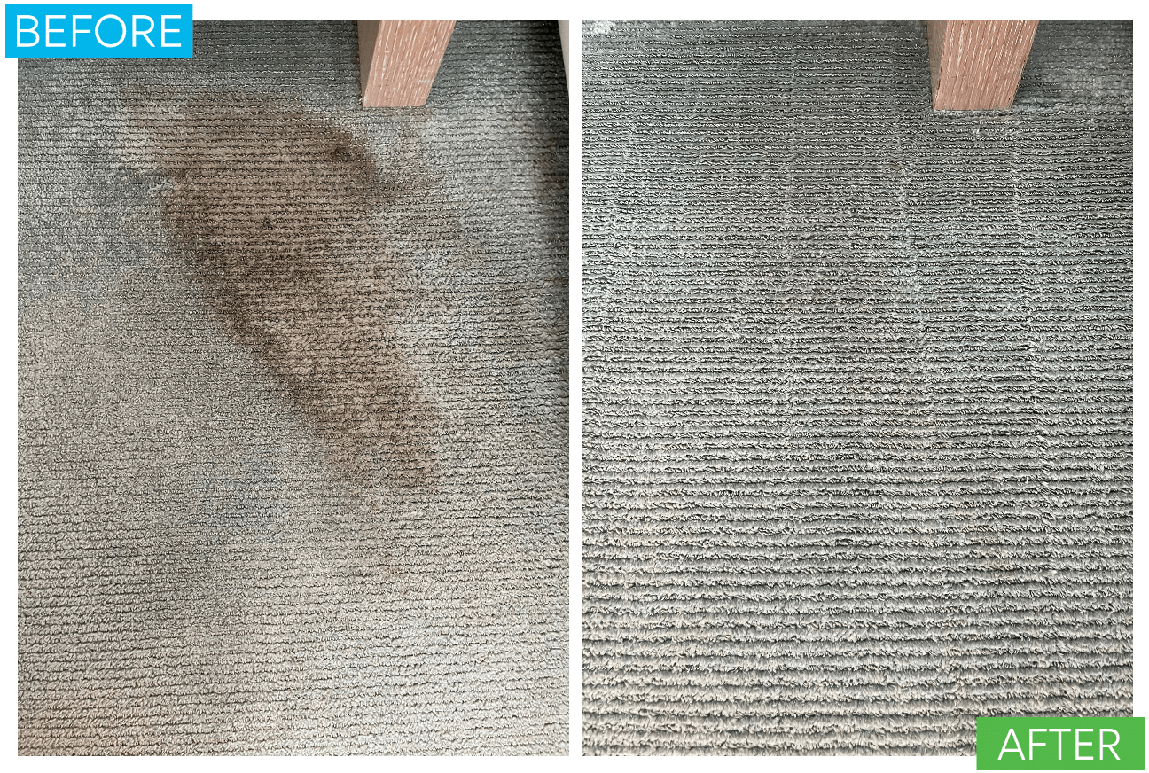 Carpet Cleaning Stain Before and After Pic